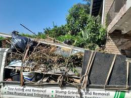 Best Shed Removal  in Franklin, KY